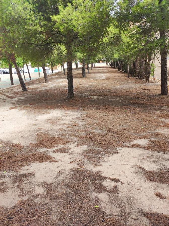 Apartamento Completo, Mascotas Aceptadas Arenales del Sol Kültér fotó